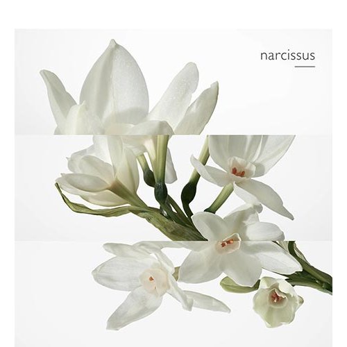 HERMÈS Eau de narcisse bleu - Eau de cologne 3346132001346 HERMÈS Eau de narcisse bleu - Eau de cologne 3346132001346